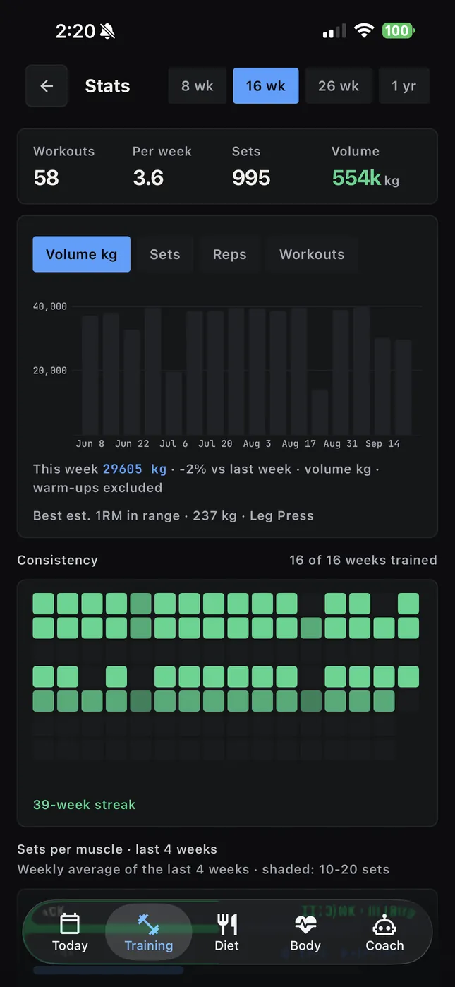 Trainingsstatistik mit Wochenvolumen und Konstanz-Karte